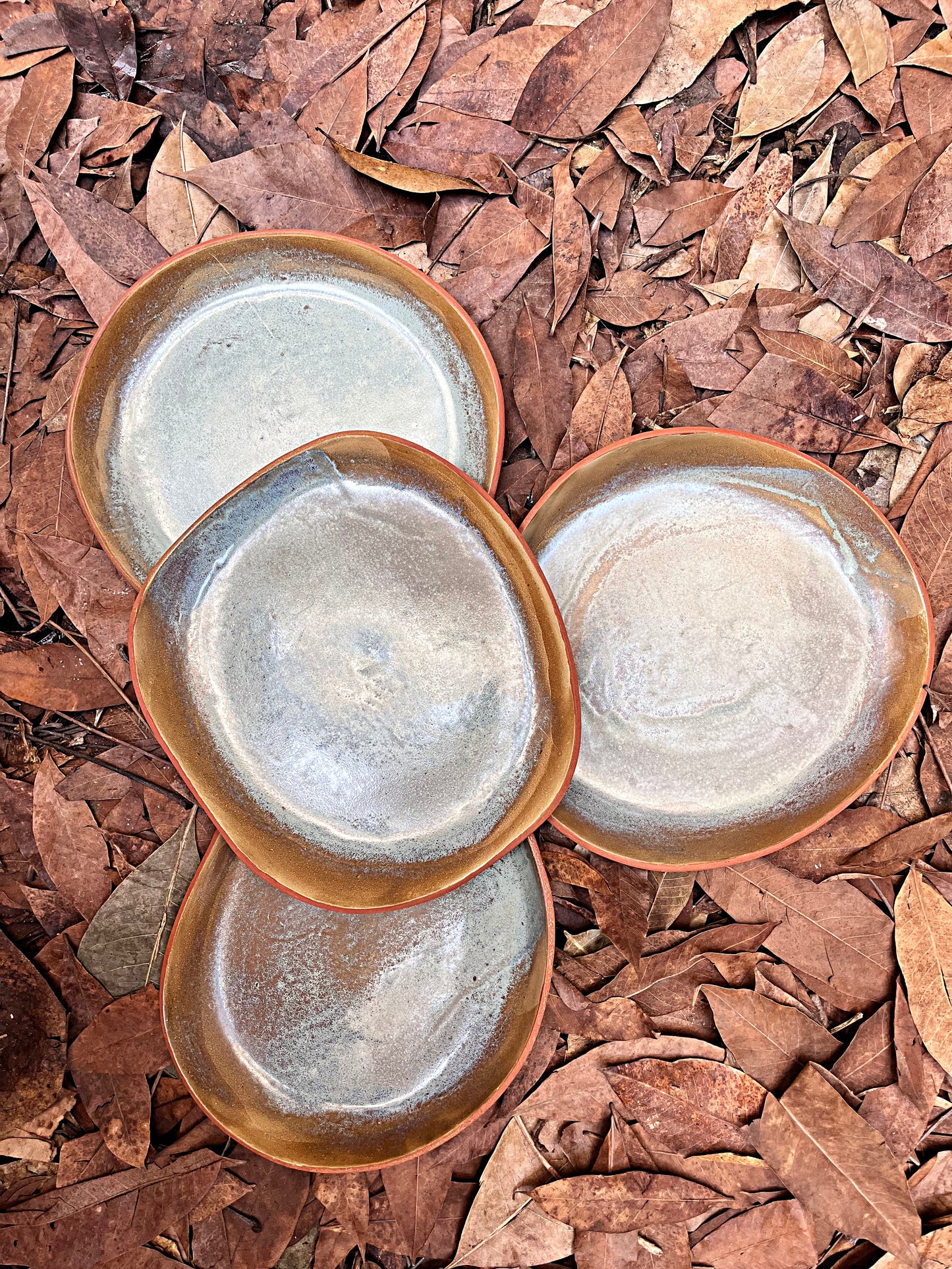 conjunto de pratos rasos seiva