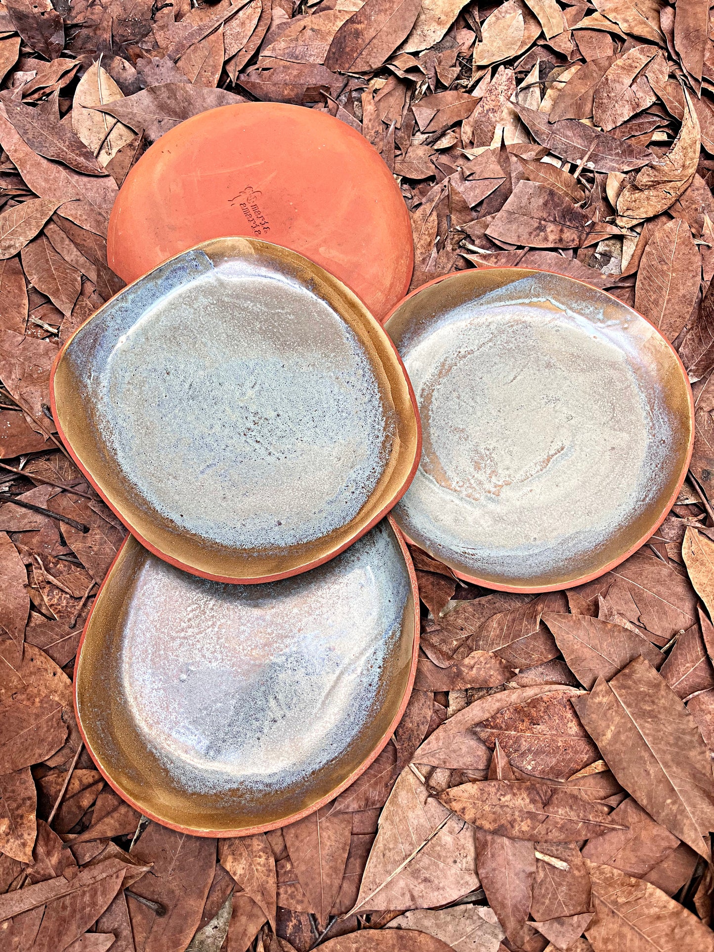 conjunto de pratos rasos seiva