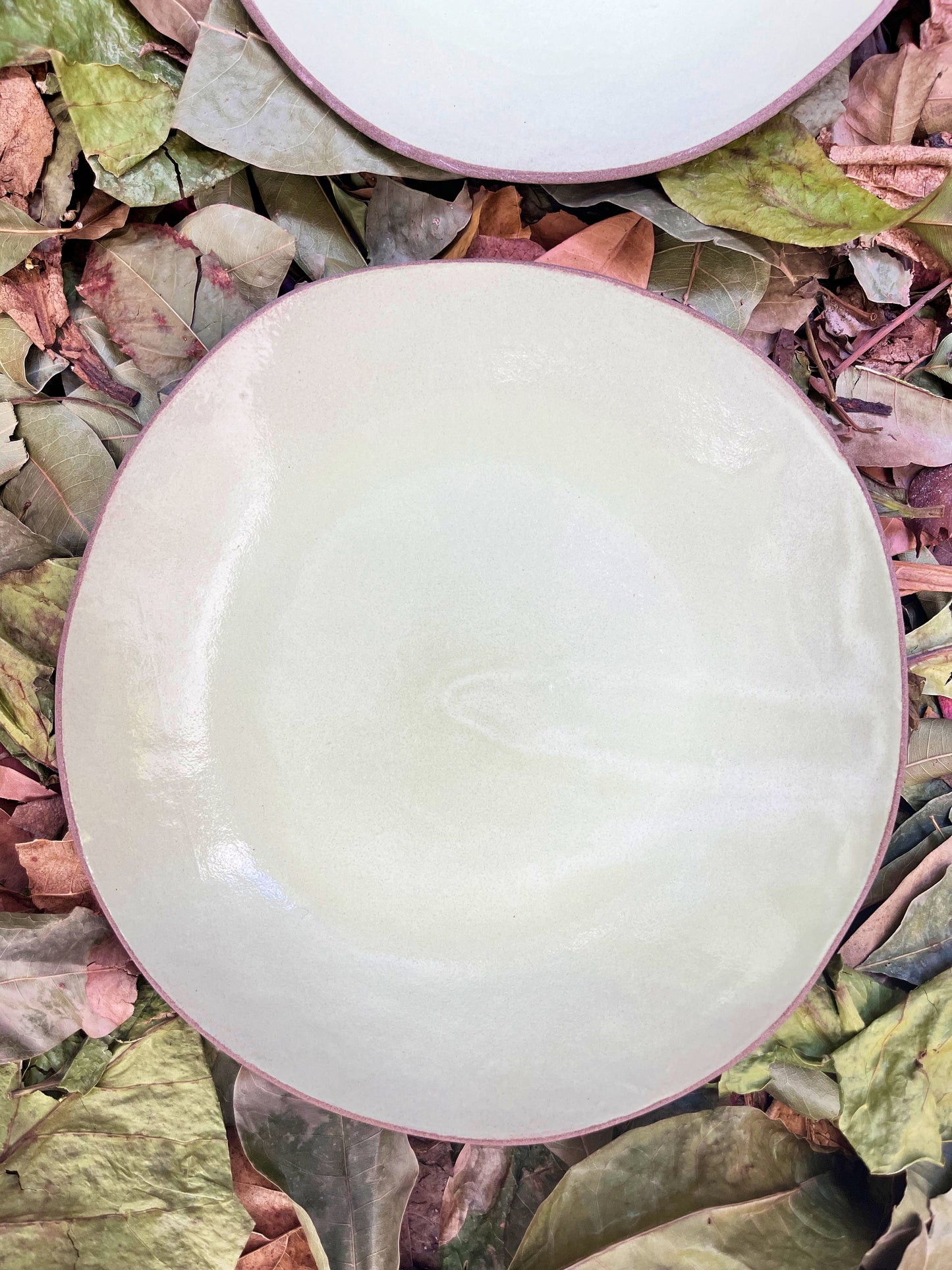 duo de pratos rasos menta