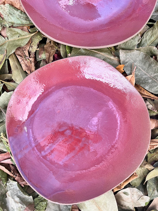 duo de pratos rasos beterraba