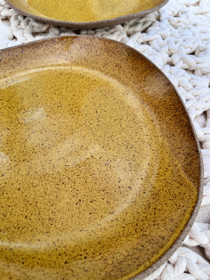 duo de pratos rasos mostarda