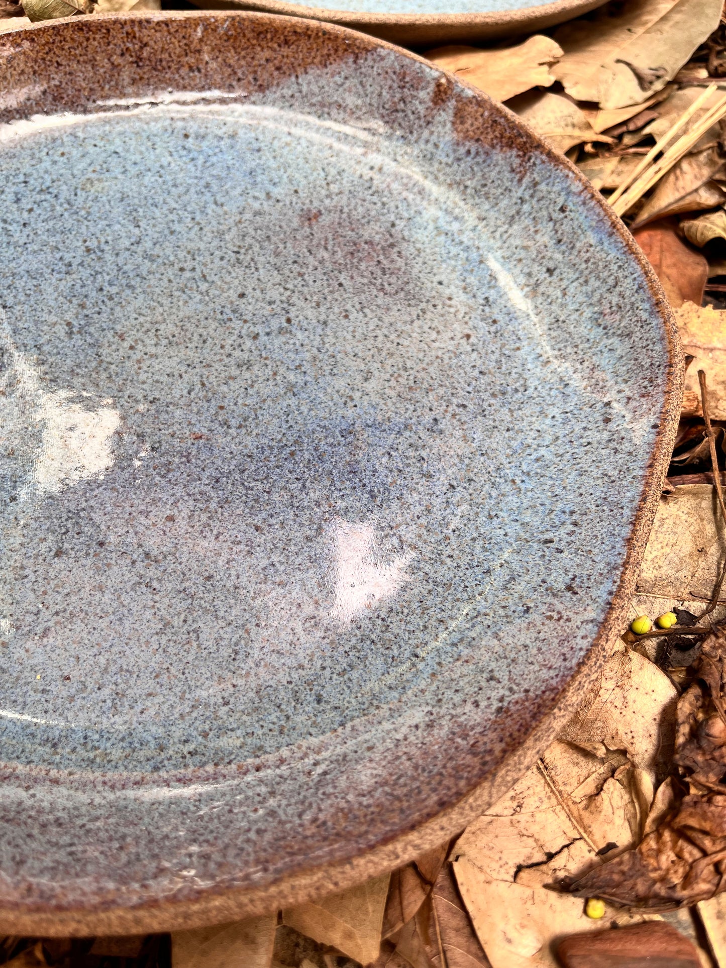 duo de pratos rasos água salgada